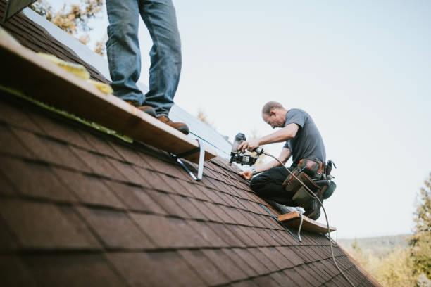 Best Roof Ventilation Installation  in Mcqueeney, TX